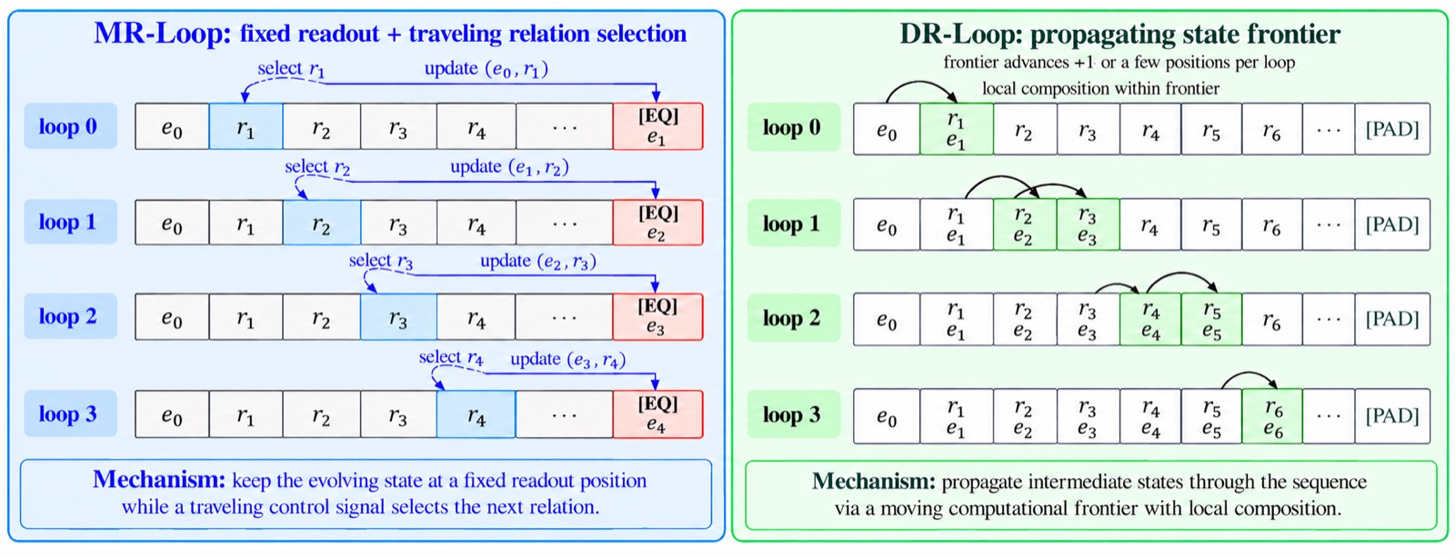 Beyond the Training Horizon: Mechanisms and Limits of Length Generalization in Looped Transformers